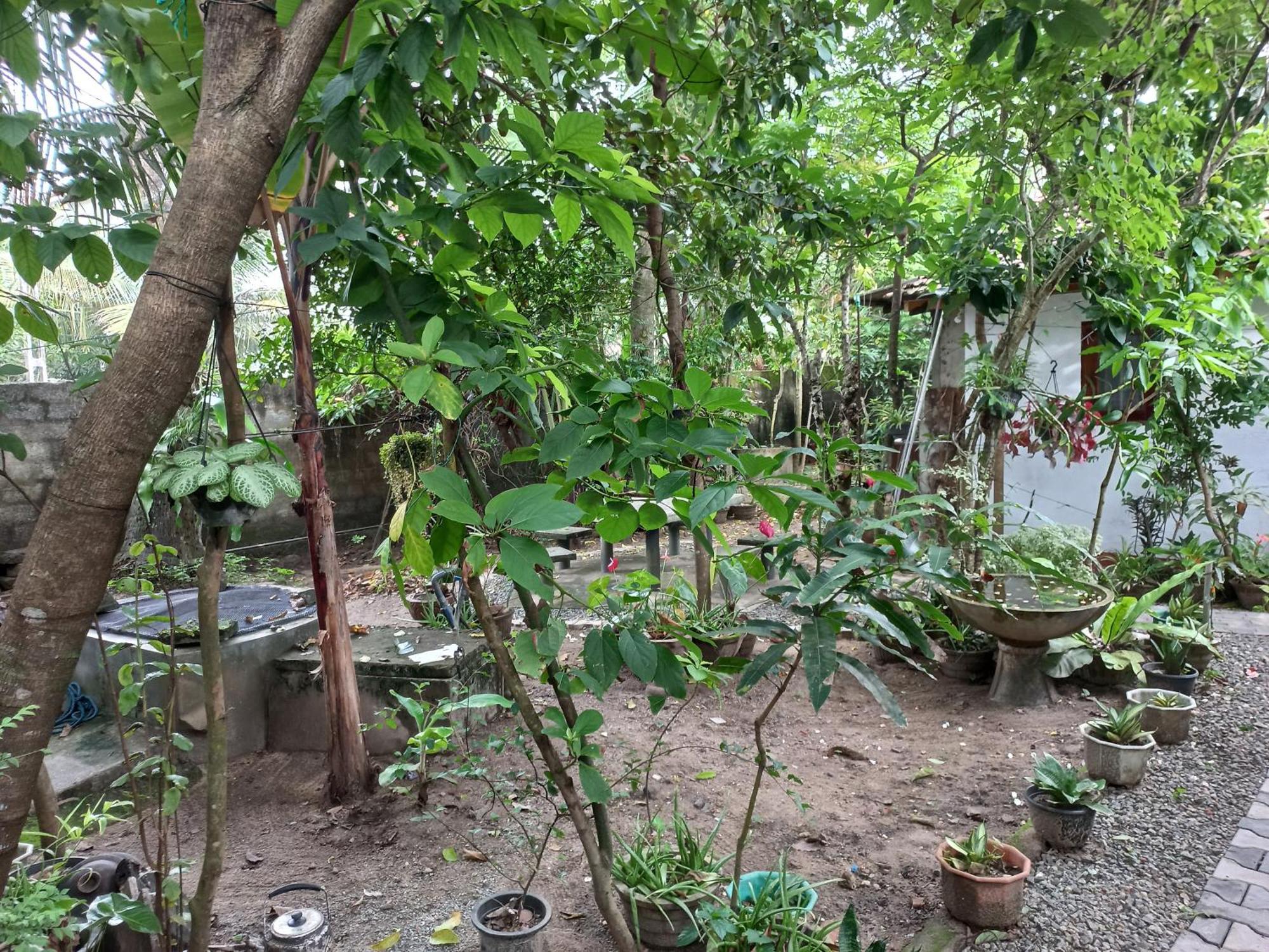 Mango Villa 703 هيكادوفا المظهر الخارجي الصورة