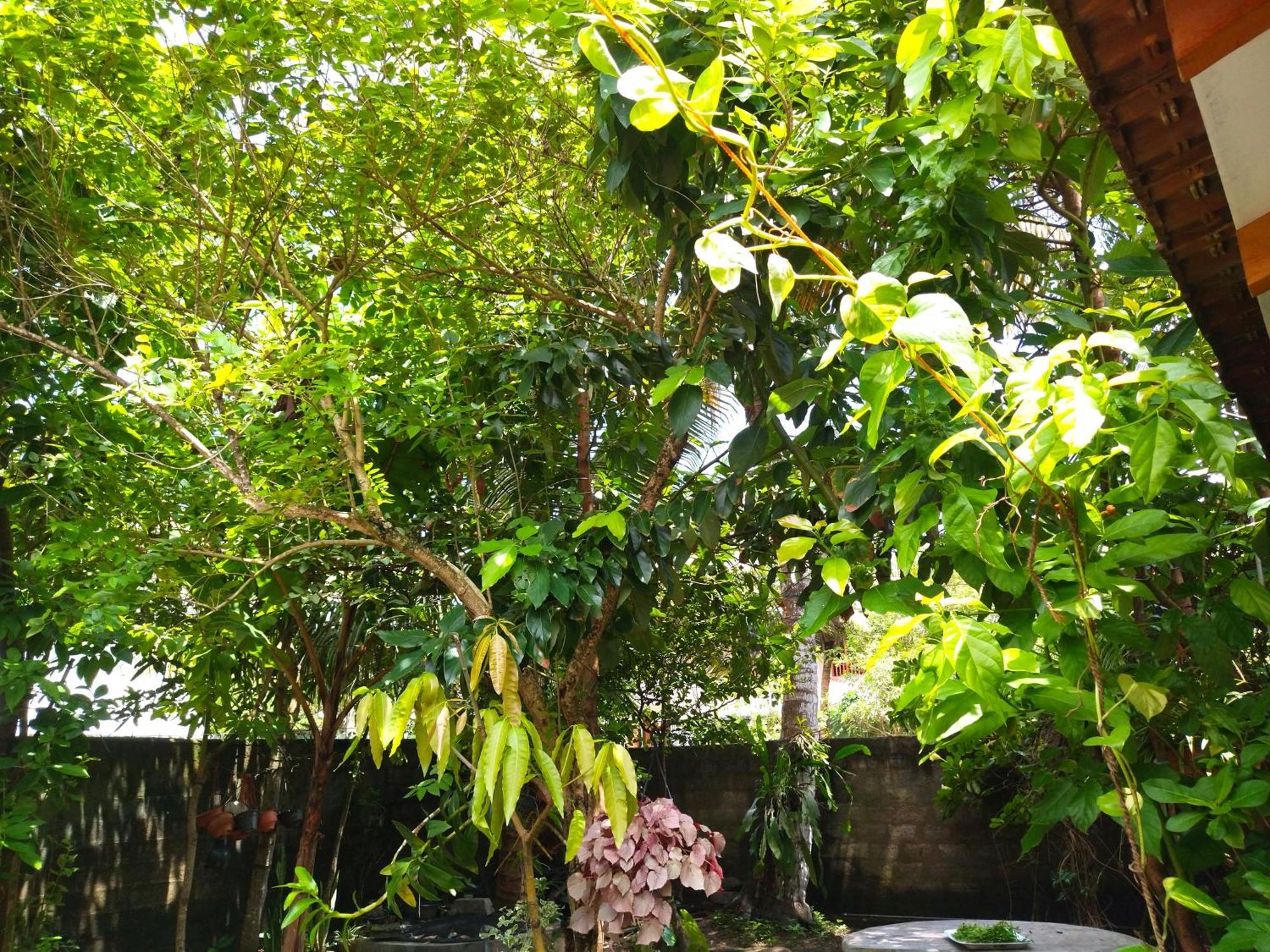Mango Villa 703 هيكادوفا الغرفة الصورة